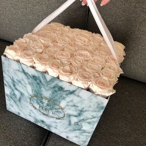 Venus et Fleur Blush Roses